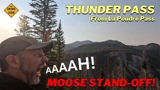 Dodging Moose! Hiking Thunder Pass [Rocky Mountain National Park / Routt National Forest]