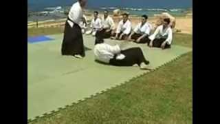 aikido kokikai