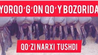 NAMANGAN UYCHI TUMAN YORQO‘RG‘ON XAYVON BOZORI