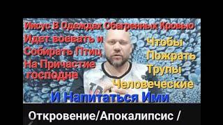 Эльгений ДевятьЯров Откровение Апокалипсис Воинственный Иисус НаБеломКоне В Одежде Обаргенной Кровью
