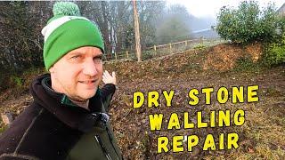 We Built a Dry Stone Wall in 2 Days and Here's What Happened!