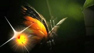 Celebration of the Paraguayan Music -Part 1