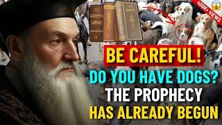  What Nostradamus Predicted for Those Who Have a Dog at Home | Revealed Prophecies