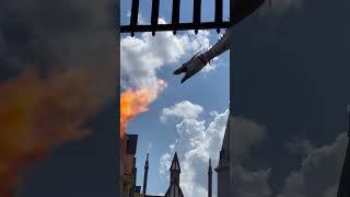 Jaw-Dropping Dragon Fire at Universal Orlando!