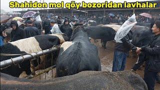 Shahidon mol va qoy bozori bugungi narhlar bilan tanishing  15.10.2024yil