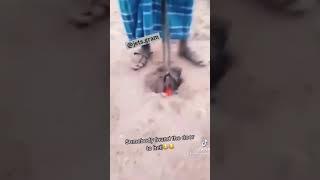 Someone just discovered the gate to hell. (Watch short clip)