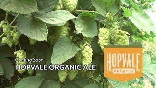 Coming Soon: Hopvale Organic Ale