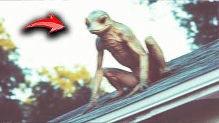 POLICE Deal with STRANGE CREATURE in North Carolina