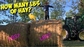 Weighing BALES & How many LBS of feed we have made this summer️?