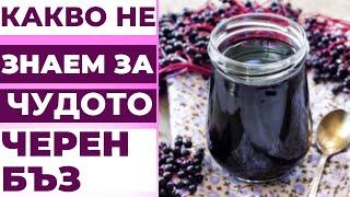 WHAT ARE THE USEFUL PROPERTIES OF BLACK ELDER - THE MIRACLE OF BULGARIAN FOLK MEDICINE!