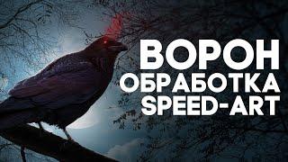 Ворон Обработка | Speed Art