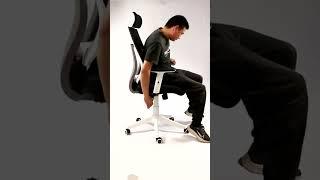 Basics Ergonomic Adjustable High-Back Mesh Chair