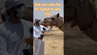 MOTi Saab smjhta hai || camel mandi #camel #camel_racing #camellife