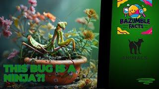 Amazing Unknown Facts About the Praying Mantis!
