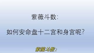 紫薇斗数：如何安命盘十二宫和身宫呢？