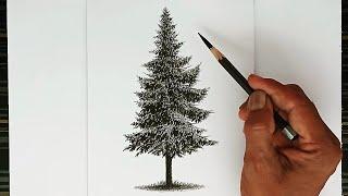 How to draw a pine tree with pencil step by step/ Drawing for beginners.