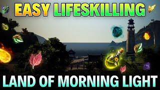 Best Land Of The Morning Light Beginners Lifeskilling Ideas For Black Desert Online