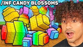 Grow A Garden OWNER Gave Me INFINITE CANDY BLOSSOMS..