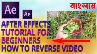 After Effects tutorial for beginners How to reverse video EASY in bangla