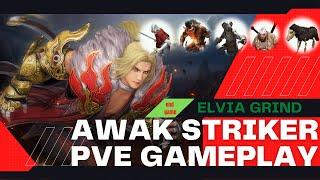 BDO| Striker Awakening PVE gameplay in Elvia Server | Black Desert Online