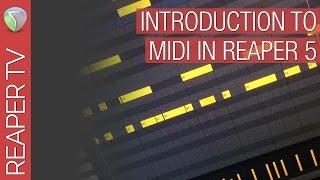 Introduction to Programming Midi in Cockos Reaper DAW