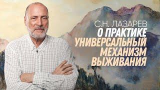 Практика "Универсальный механизм выживания" - анонс