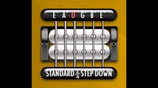 Perfect Guitar Tuner (E Standard - 1/4 Step Down) AC/DC