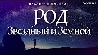 Роль звёздных и земных родов в формировании сознания детей. #ДмитрийПеретолчин #Весталия