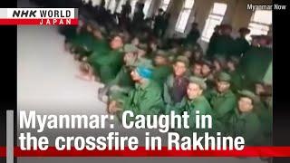 Myanmar: Caught in the crossfire in RakhineーNHK WORLD-JAPAN NEWS