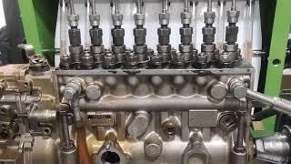 ZEXEL 8 CYLINDER PUMP TESTING