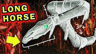 The FULL History & Biology of the Long Horse...