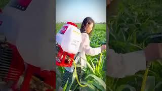 mesin pertanian unik untuk penyemprotan lahan #shorts