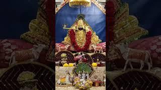 Jai ranchhodrai #ranchhodrai #kanudo #jagannath #radhakrishna #viralvideo