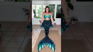 Which mermaid tail is your favorite?! ‍️ #mermaidlife #verobeachmermaid