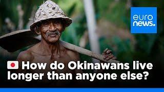 How do Okinawans live longer than anyone else?  | euronews 