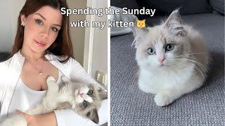 Spending the Sunday with my ragdoll kitten, Vlog 