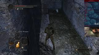 camera control window skip DS2 Vanilla