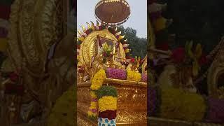 Golden Chariot of Grace: A Celebration of Love and Devotion 23 November 2024