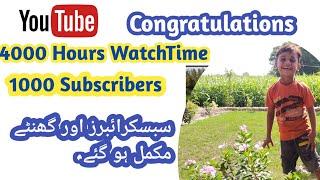 Complete 4000 Hours Fast | 1000 Subscribers Complete | Pakistan Village Life | Muhammad Waqas Tech