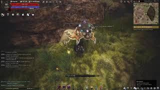 Black Desert Online. Темный рыцарь.