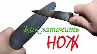 Супер хитрость при заточке ножа. Метод заточки ножа против шерсти