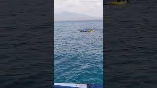 Keindahan Laut Indonesia