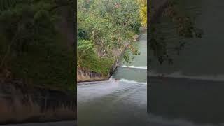 Discovering Gorgeous Waterfalls Around the #shorts #discover #waterfall
