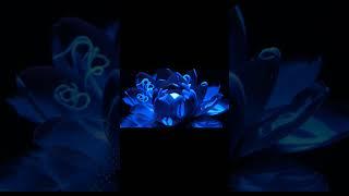 Watch This Mysterious Blue Flower Bloom Before Your Eyes!