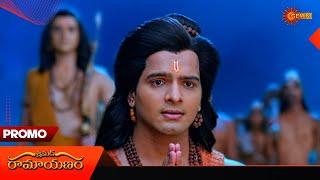 Ramayanam - Promo |  26 Nov 2024 | Telugu Serial | Gemini TV