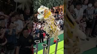 Singapore Jin Heng Dragon & Lion Dance Centre首届利达广场新马南狮高桩锦标赛The Seletar Mall 7Jun 2025