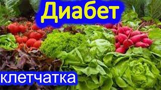 Диабет, клетчатка
