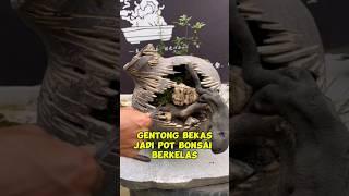 gentong bekas jadi pot berkelas #inspirasibonsai