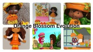 Orange Blossom Evolution 1979-2022