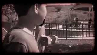 The Origin of Shark Wheel - skateboard longboard wheels